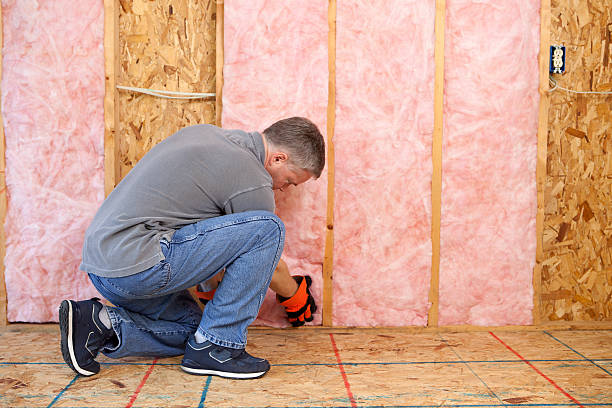 Best Commercial Insulation in Mulberry, FL